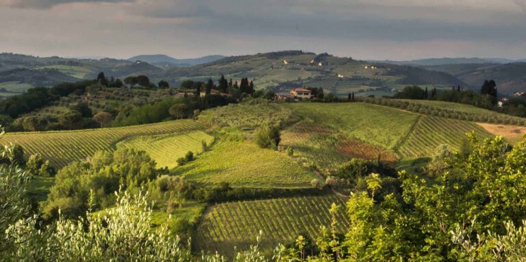 Gastrodontti maailmalla: Toscana