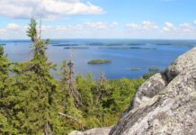 Itsenäisiä ruokamietteitä Suomesta vuonna 2020.